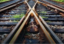 Jeszcze mniej zieleni – wycinka drzew na Bemowie znów realna!